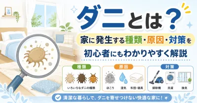 ダニとは？家に発生する種類・原因・対策を初心者にもわかりやすく解説