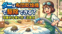 ダニは布団乾燥機で駆除できる？効果的な使い方と注意点