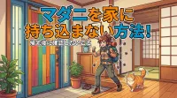 マダニを家に持ち込まない方法！帰宅後に確認したいこと
