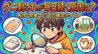 ダニ刺されが毎日続く原因は？布団・部屋・ペットの確認ポイント