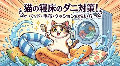 猫の寝床のダニ対策！ベッド・毛布・クッションの洗い方