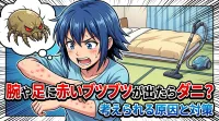 腕や足に赤いブツブツが出たらダニ？考えられる原因と対策