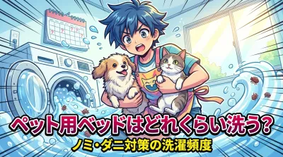 ペット用ベッドはどれくらい洗う？ノミ・ダニ対策の洗濯頻度