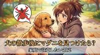 犬の散歩後にマダニを見つけたら？家庭で注意したい対応