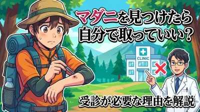マダニを見つけたら自分で取っていい？受診が必要な理由を解説
